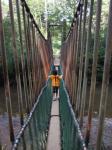 国営武蔵丘陵森林公園アスレチックのつり橋