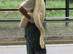 東武動物公園のパレードでヘビが登場。