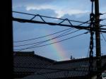 虹の画像 (2009.05.08)