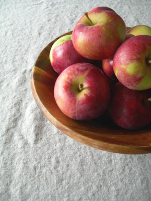 apple-picking-10-50.jpg