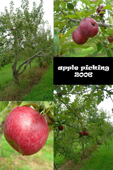 apple-picking-8-80.jpg