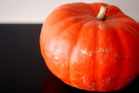 pumpkin1w.jpg