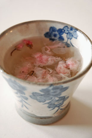 sakura-tea.jpg
