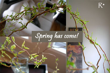 spring-branches-r.jpg