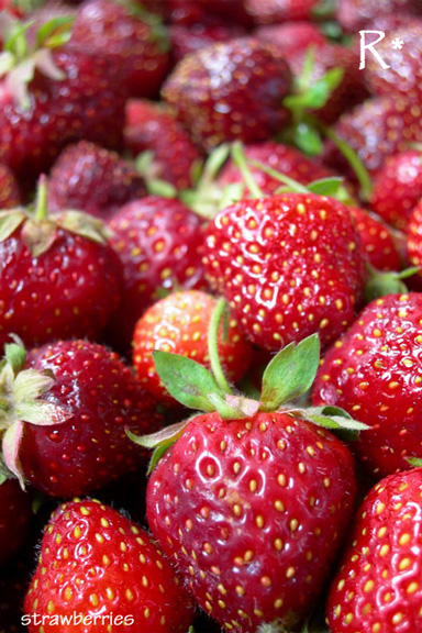 strawberry-picking-1.jpg