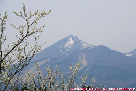 春の磐梯山