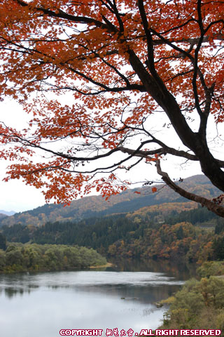 只見柳津県立自然公園　瑞光寺公園から見下ろす只見川
