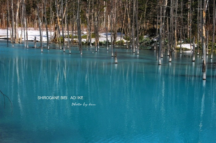 青い池５