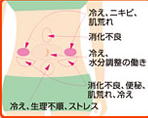 nikibi_in5.jpg