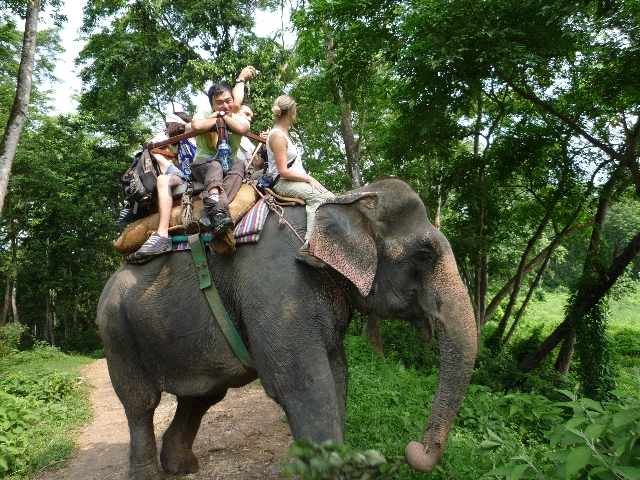 ネパールで象と戯れる 川でゾウと泳ぎ 子ゾウと遊ぶ ビジネスクラスのバックパッカー もりぞお世界一周紀行