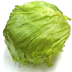lettuce_safe20070228.jpg