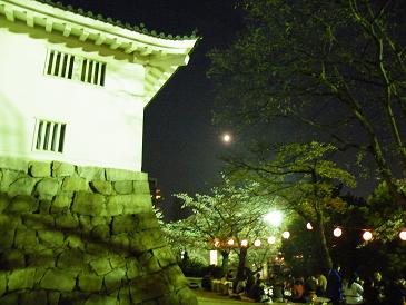 福山城☆夜桜