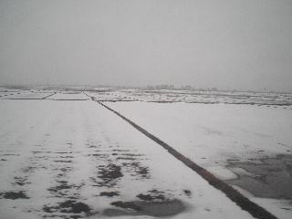 残雪の津軽の野面