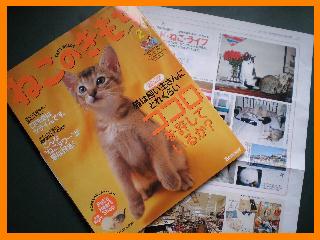 猫雑誌１