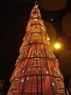２００６年リスボン・クリスマスツリー