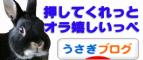 バナー4