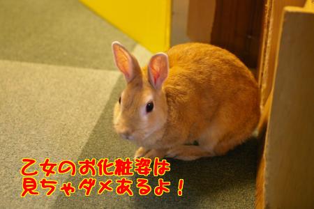 20108Blog5.jpg