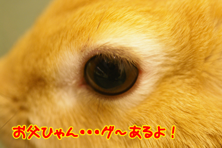 210107Blog10.jpg