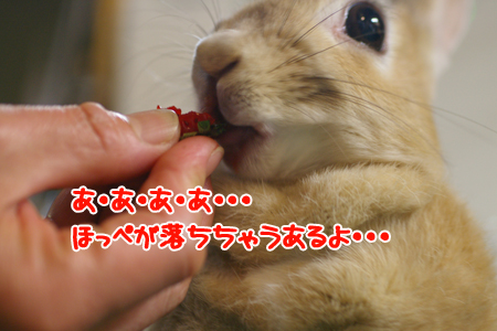 210522Blog5.jpg
