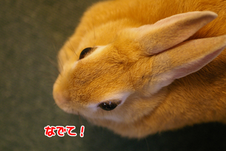 210524Blog8.jpg